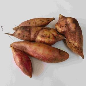 Yacon growing tips